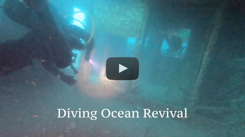 YouTube Video Diving Ocean Revival
